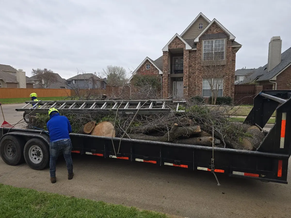 Expert Lot Clearing with proper safety equipment in Glynn